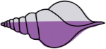 shells
