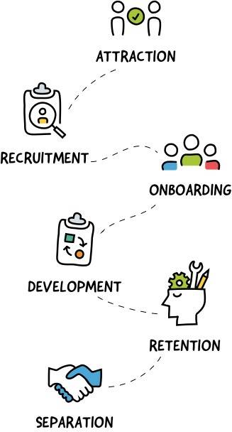 Attraction, recruitment, onboarding, development, retention, separation