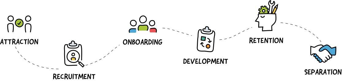 Attraction, recruitment, onboarding, development, retention, separation