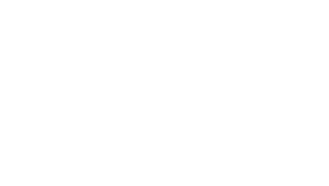 Eagle Womens Business Enterprise Seal
