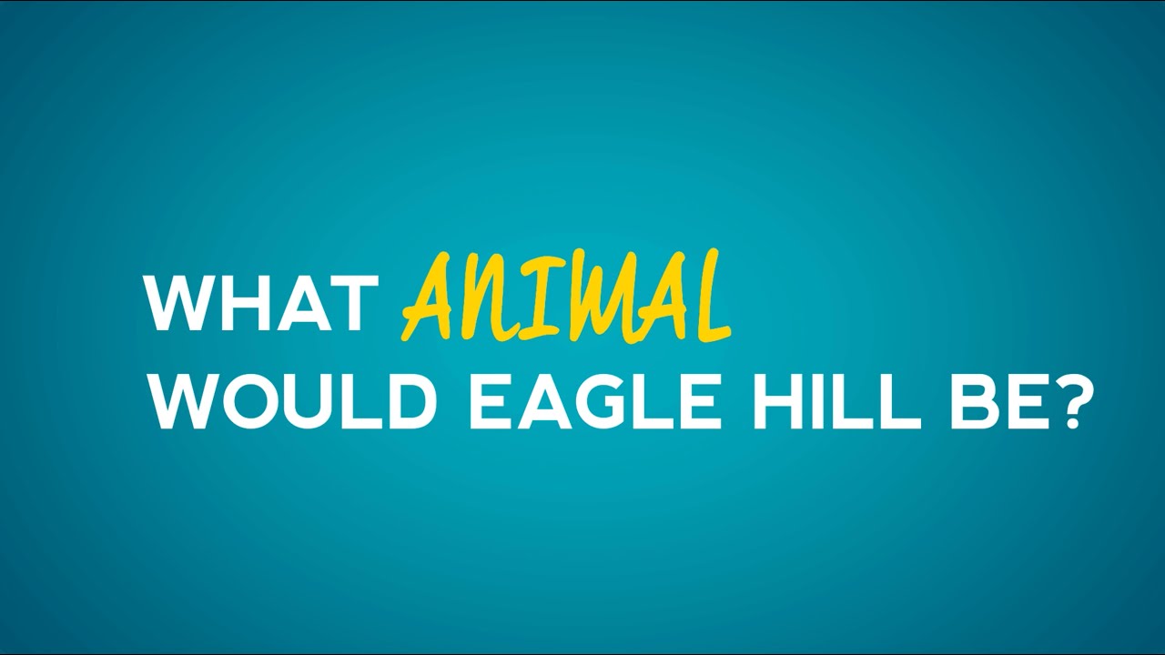 Watch now: What animal would Eagle Hill be?